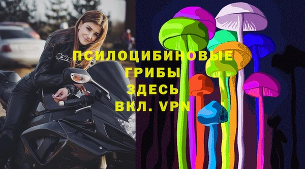 спиды Костерёво