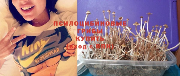 ГАЛЛЮЦИНОГЕННЫЕ ГРИБЫ Козельск