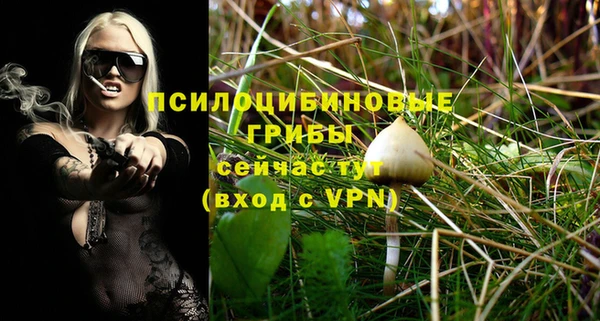 ГАЛЛЮЦИНОГЕННЫЕ ГРИБЫ Козельск