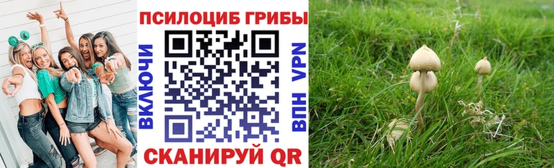 Галлюциногенные грибы Cubensis  Купить где  Котово 