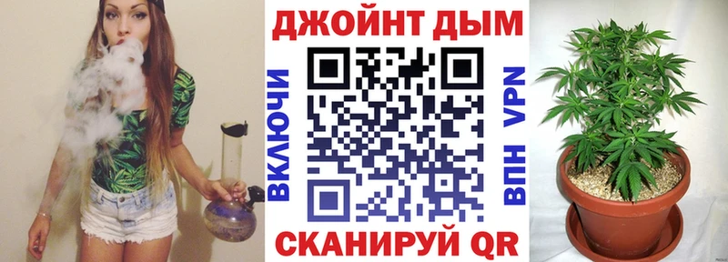 Купить где  Котово  Конопля ГИДРОПОН 
